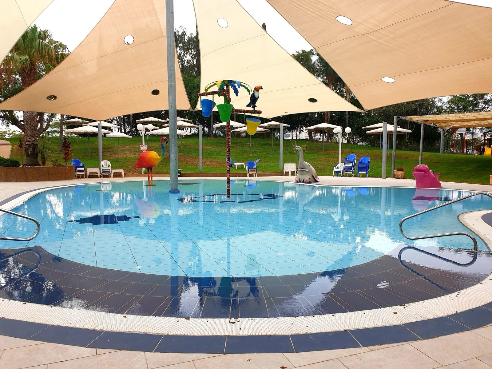בריכת פעוטות